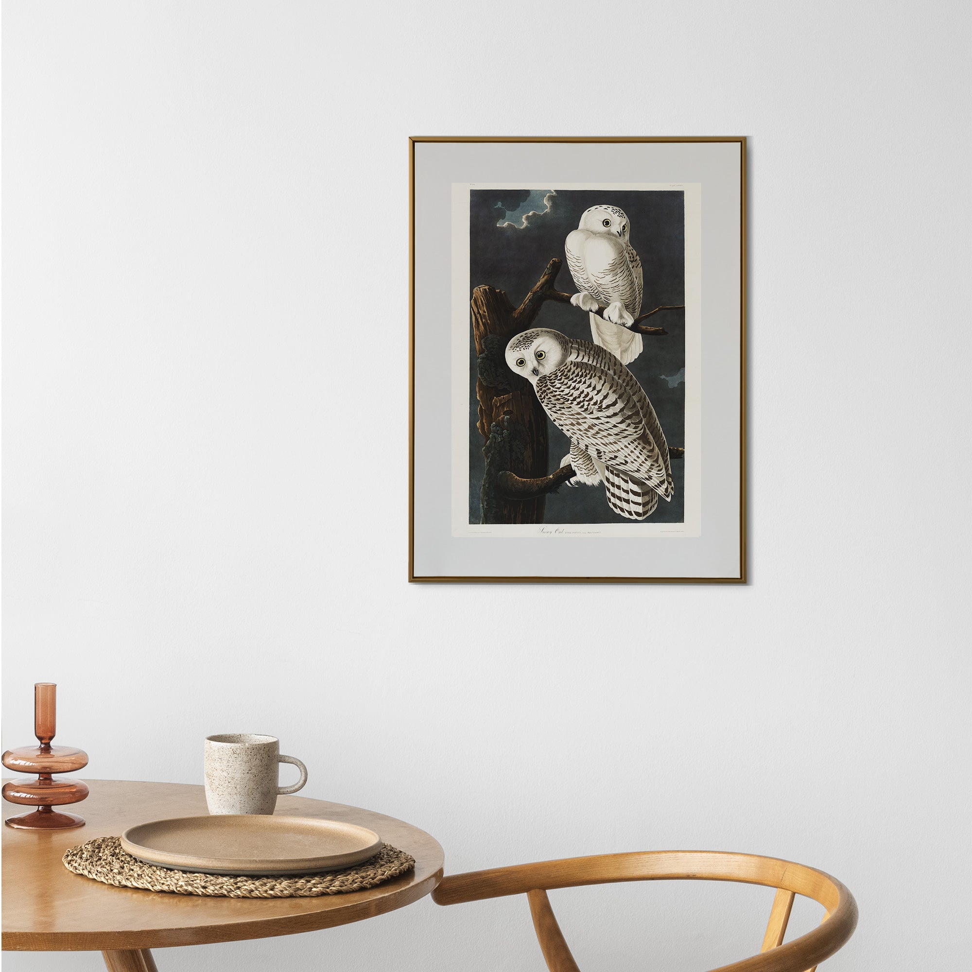 Snowy Owl - Hartsholme Prints