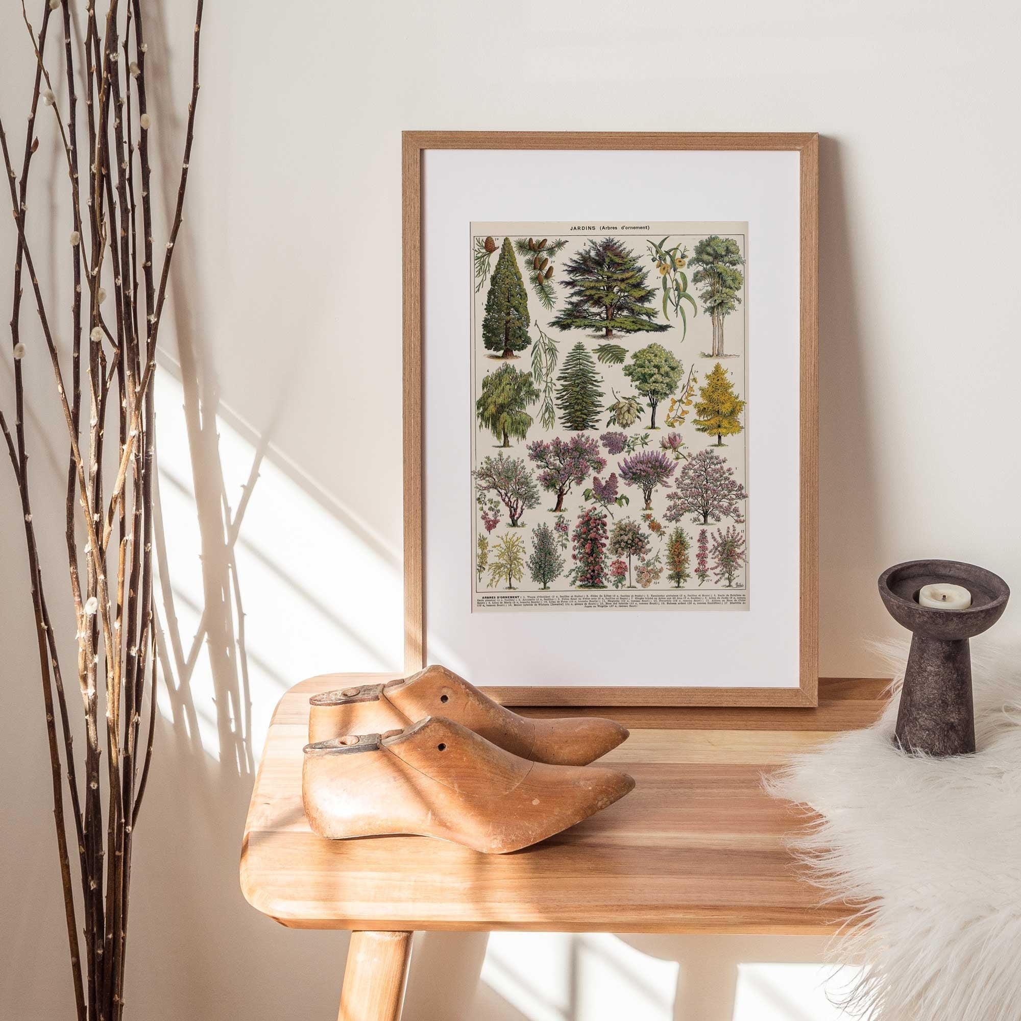 Tree Species - Hartsholme Prints