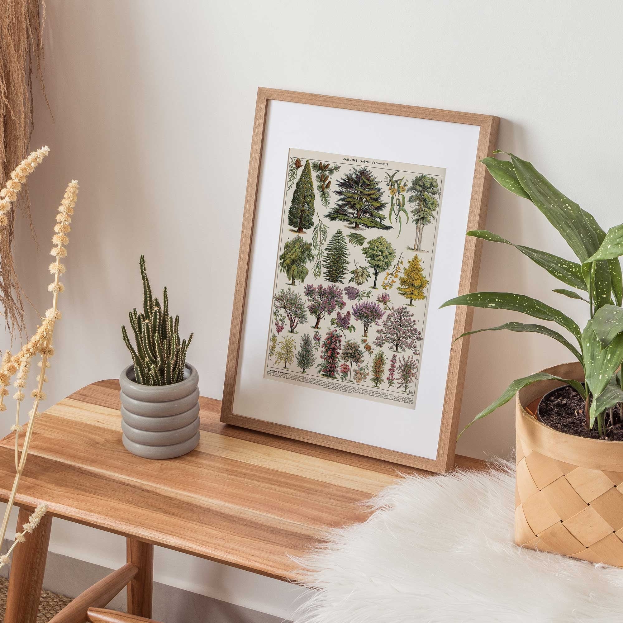 Tree Species - Hartsholme Prints