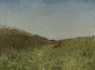 Vintage Hare Print, Nursery Wall Art - Hartsholme Prints