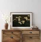 Vintage Still Life White Roses, Dark Moody Flower Print - Hartsholme Prints