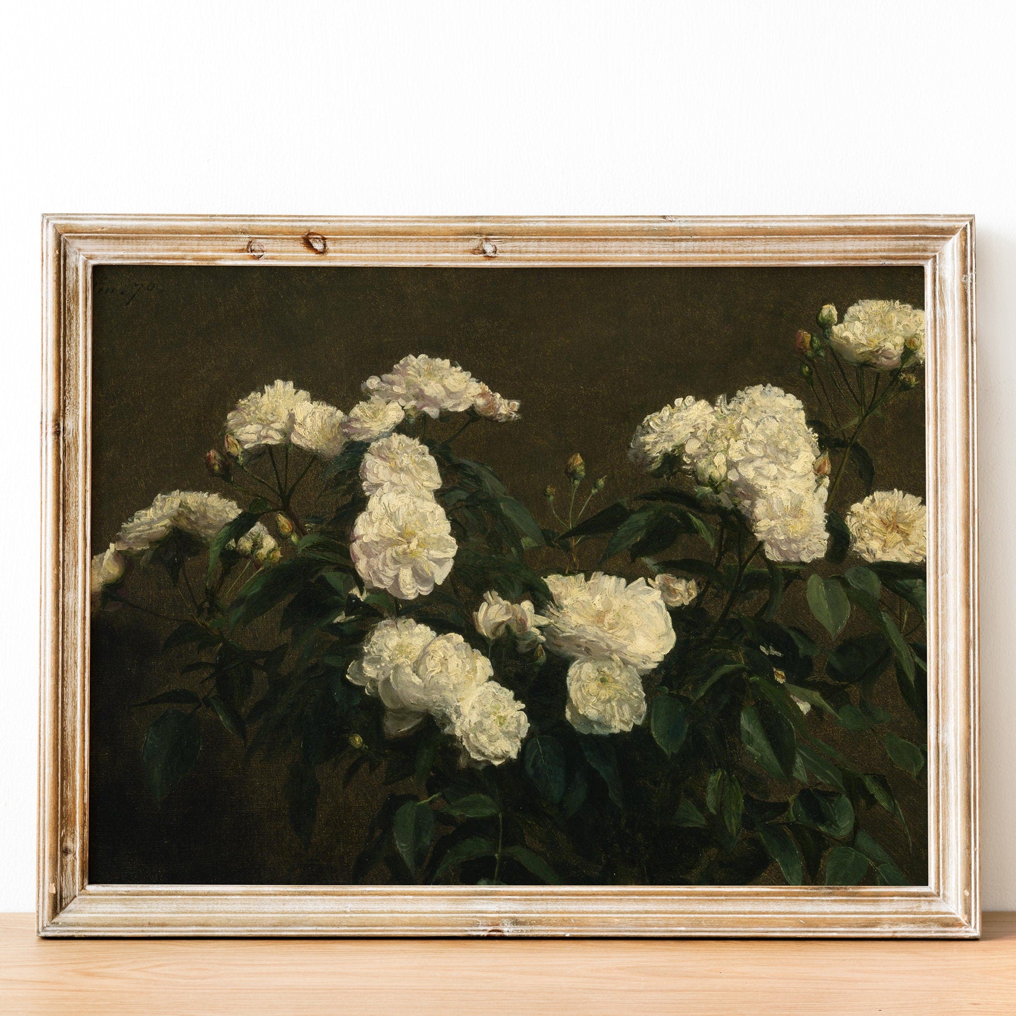 Vintage Still Life White Roses, Dark Moody Flower Print - Hartsholme Prints