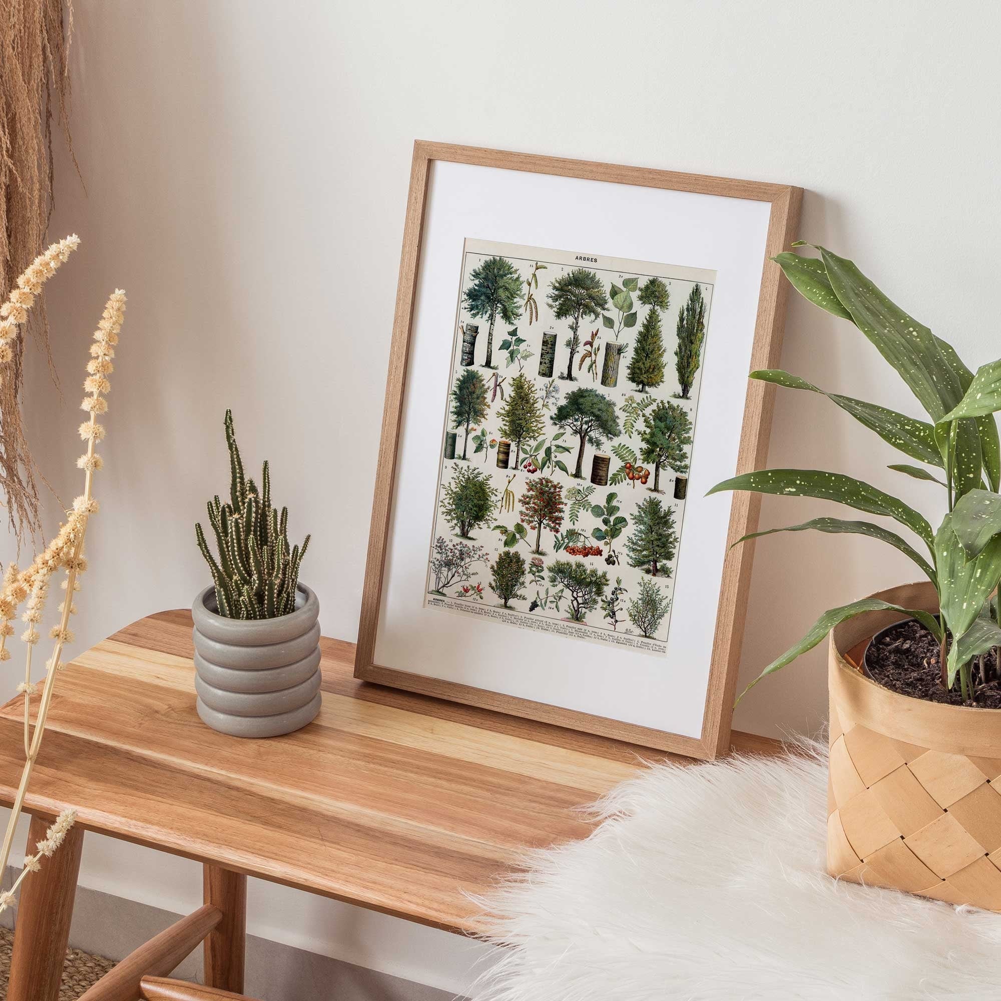 Vintage Tree Forest - Hartsholme Prints