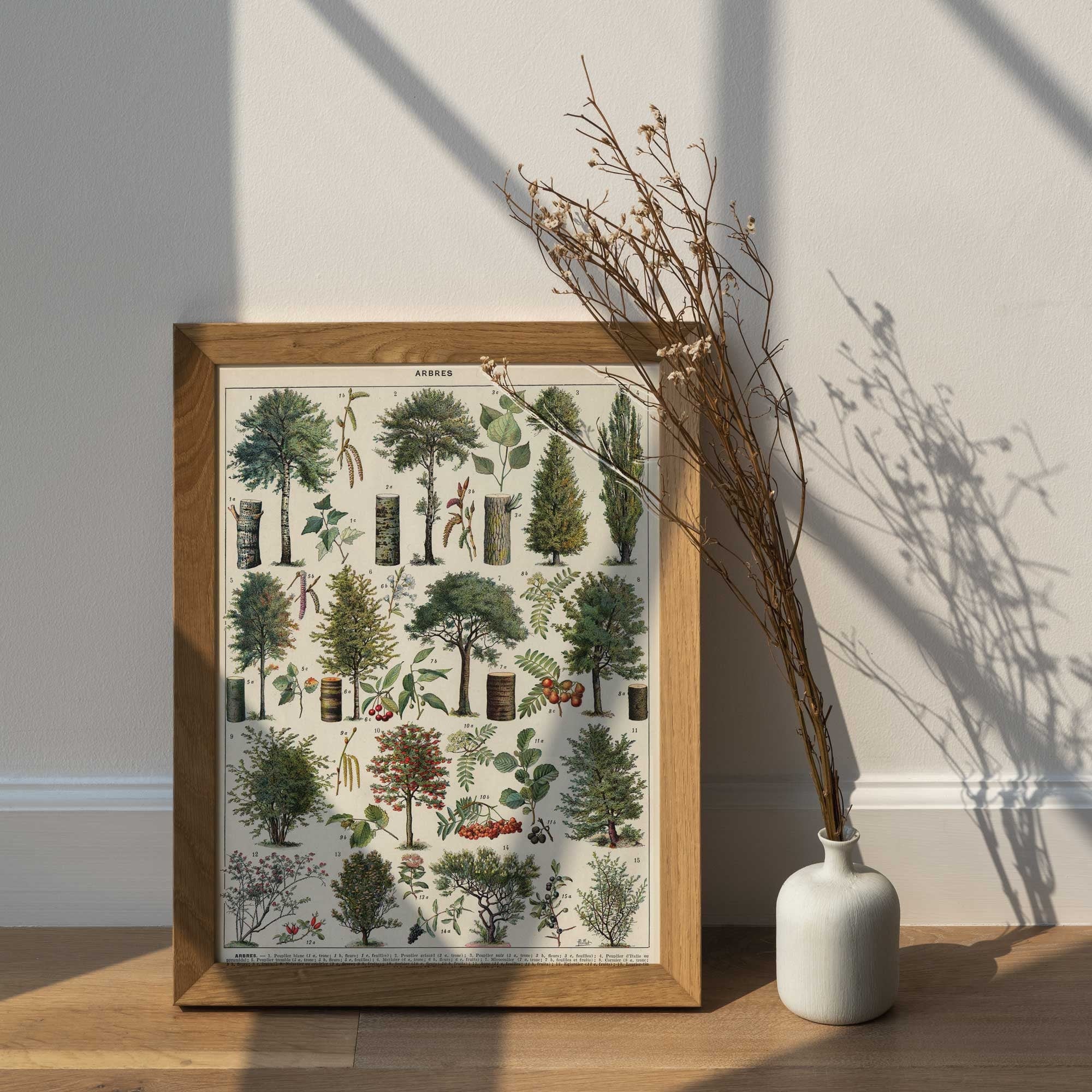 Vintage Tree Forest - Hartsholme Prints