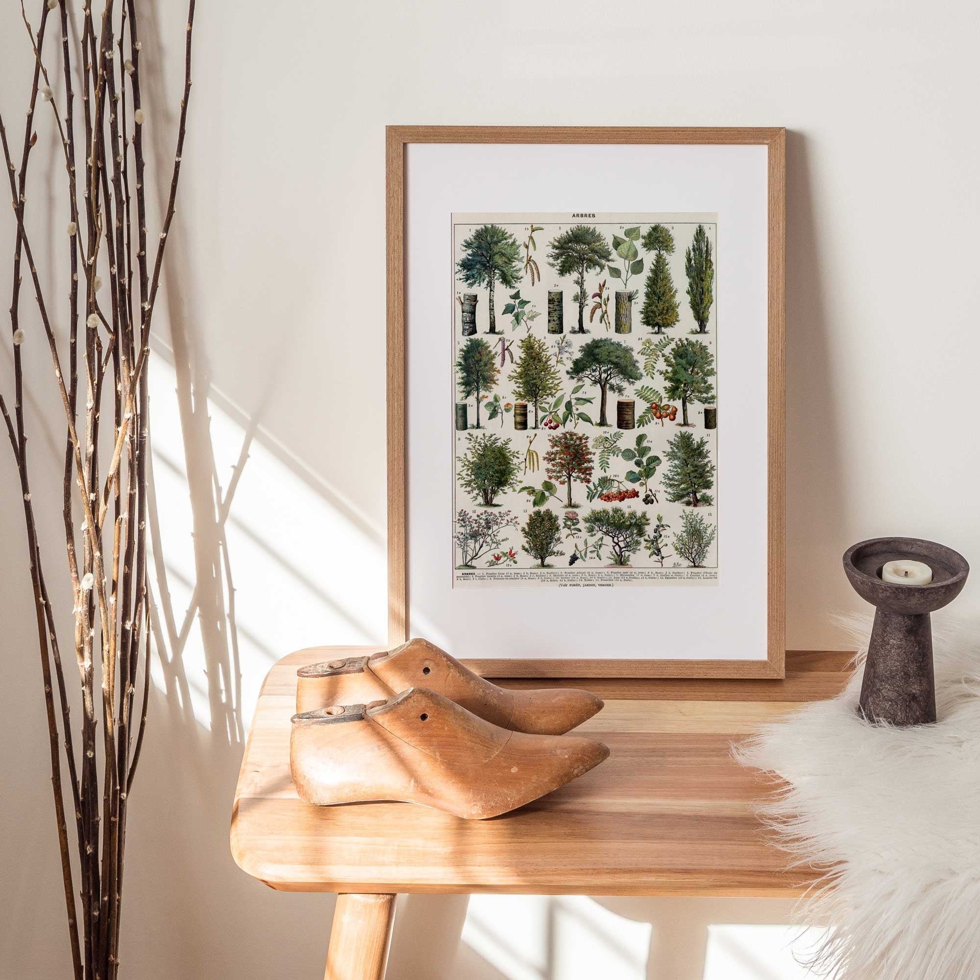 Vintage Tree Forest - Hartsholme Prints