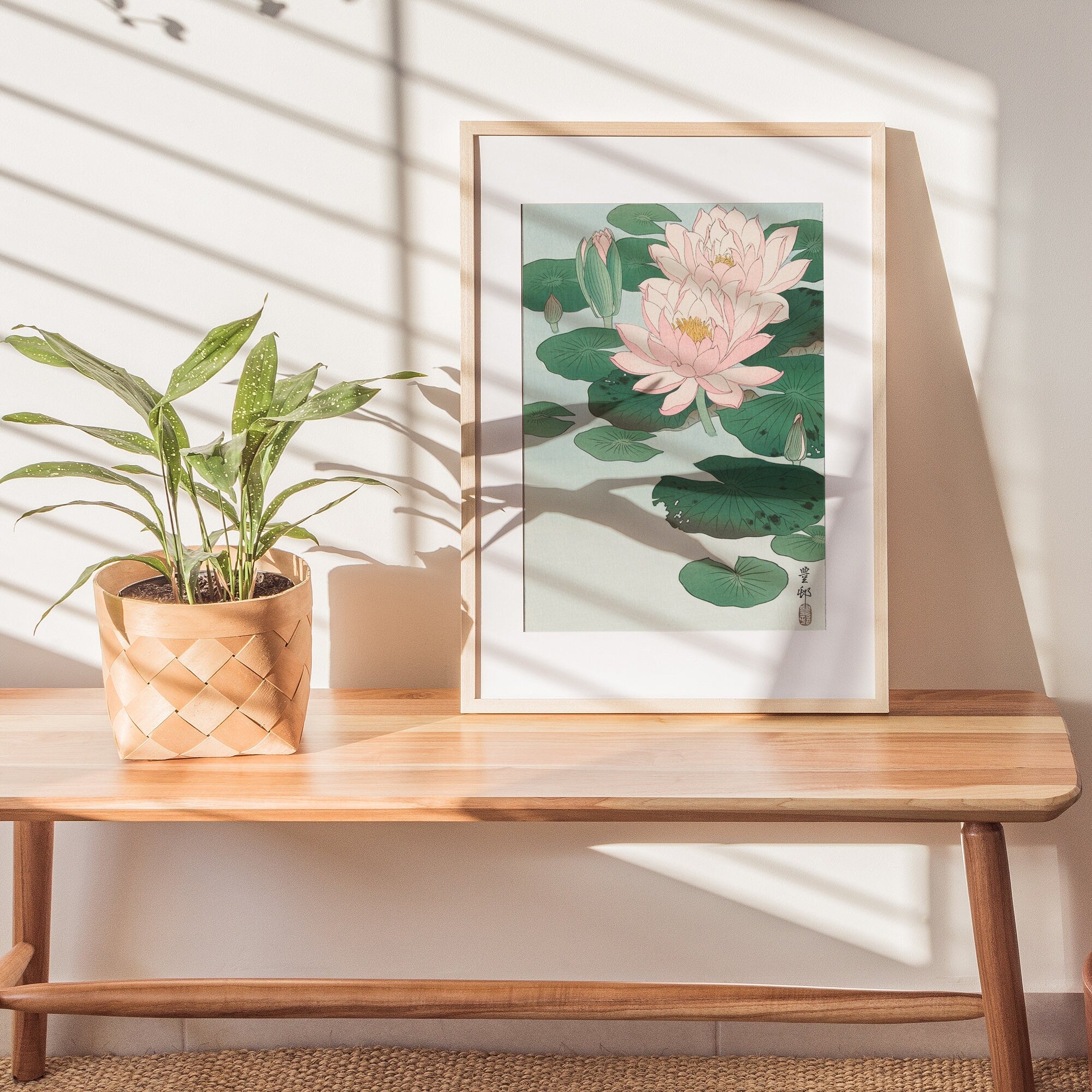 Water Lily - Hartsholme Prints