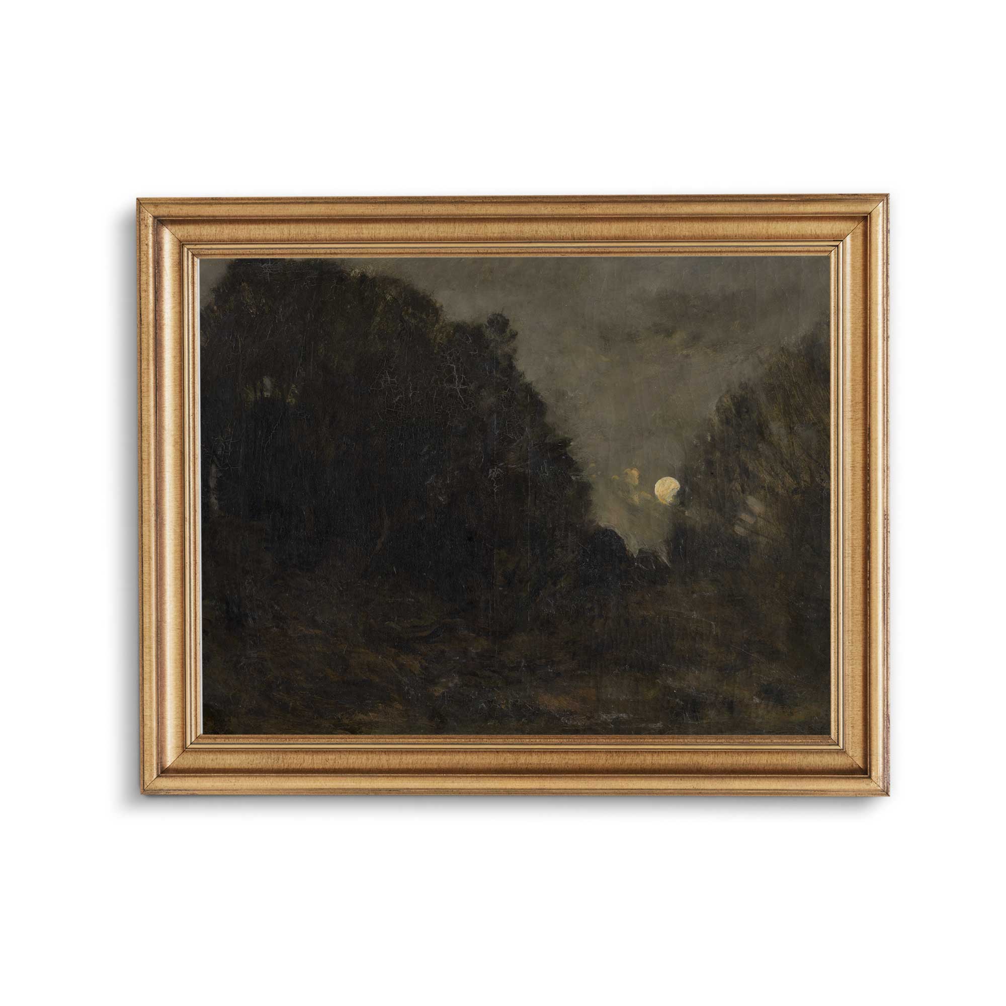 Dark and Moody Forest Scene Print 