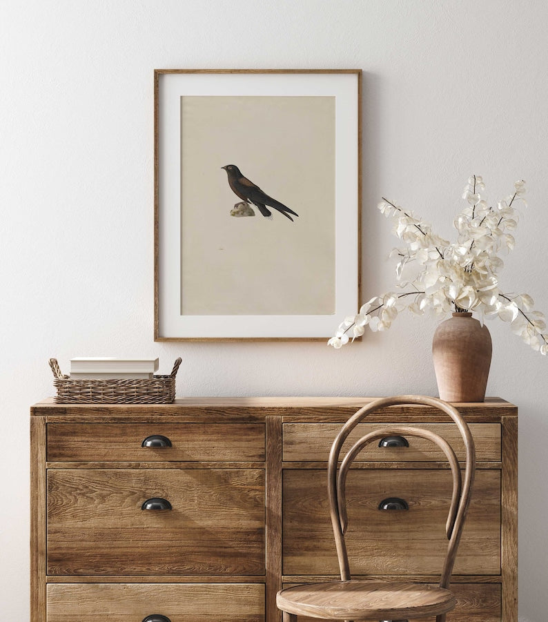 Wooden dresser with a Needle-Tailed Swift Print , Antique Bird Illustration | and a vase with flowers on a white wall.