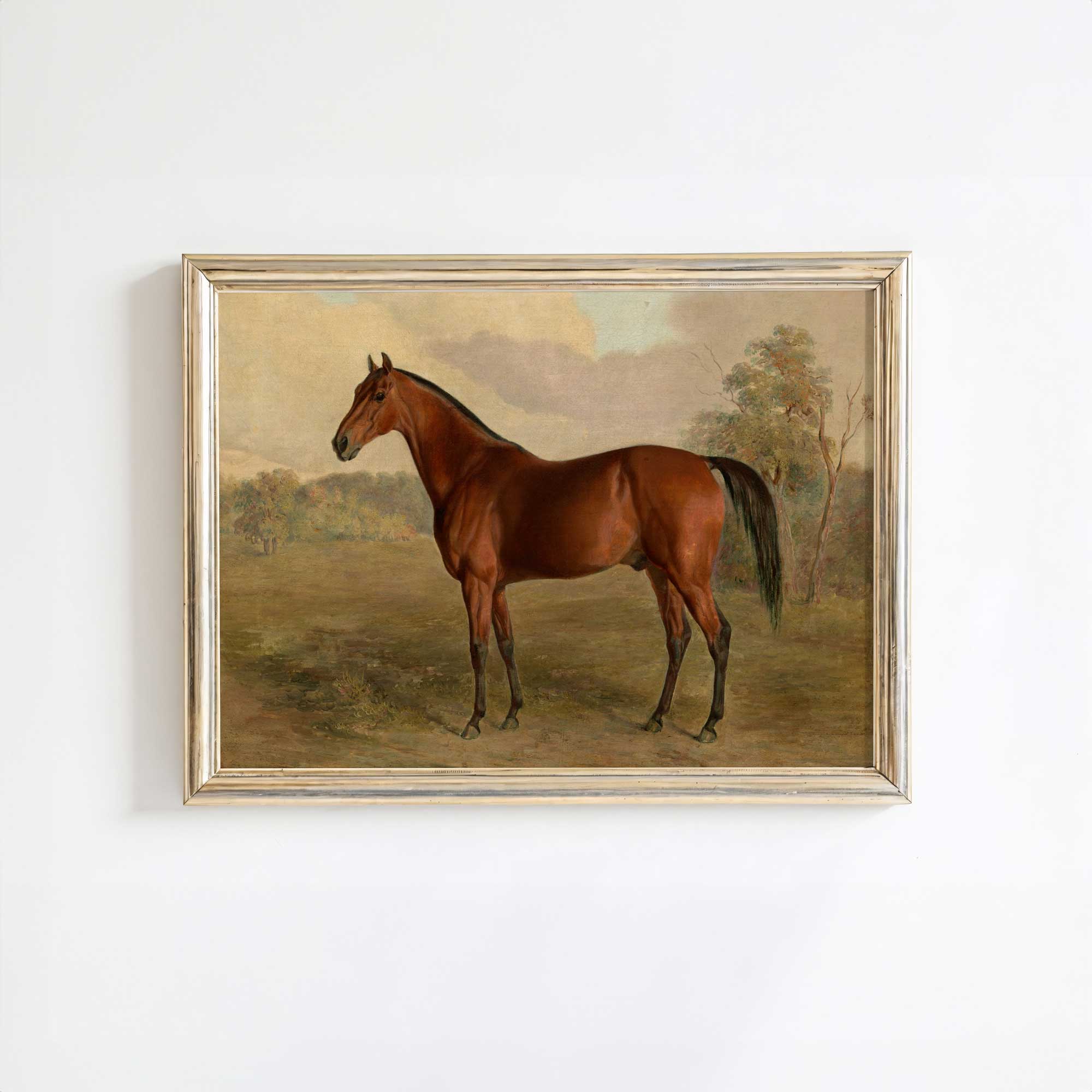 Framed painting of a brown horse in a field on a white wall