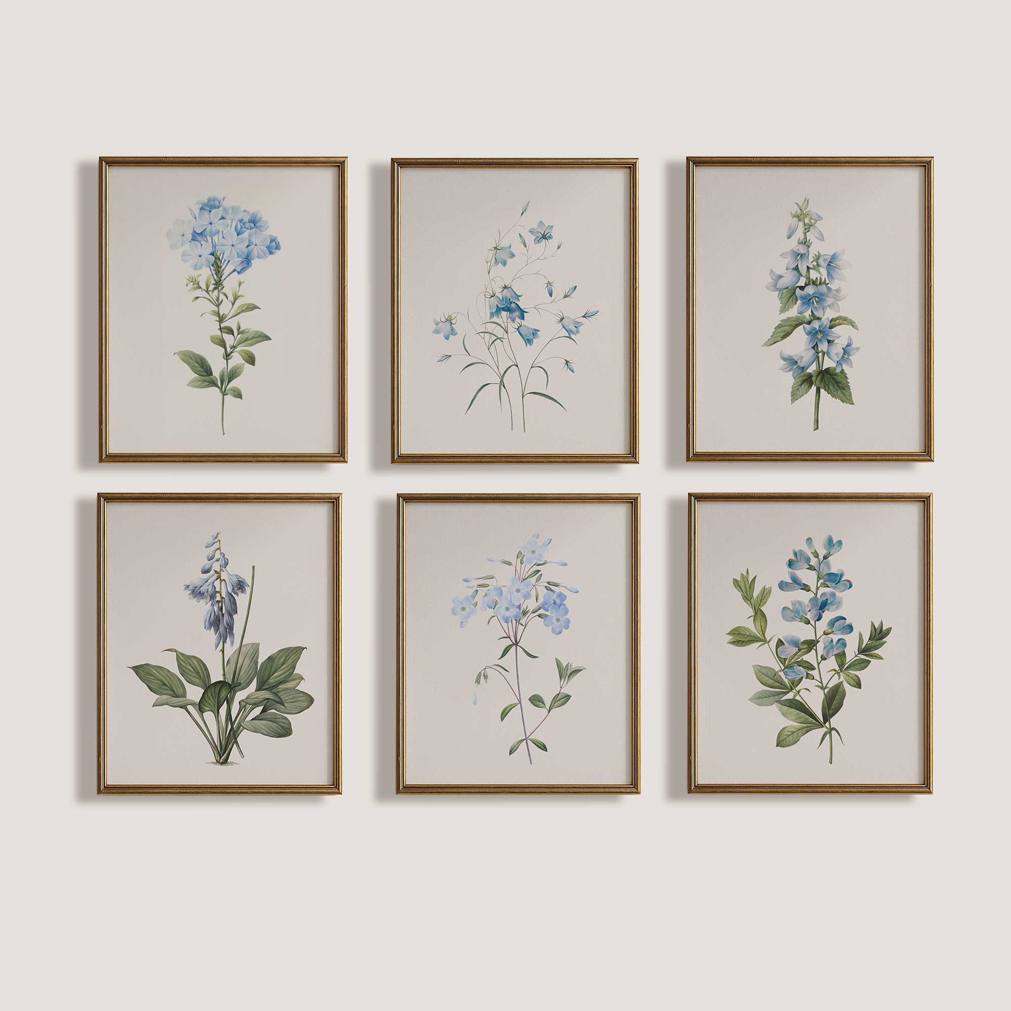 Set of 6 vintage blue botanical prints framed as gallery wall