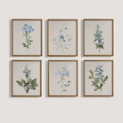 Set of 6 vintage blue botanical prints framed as gallery wall