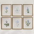 Set of 6 vintage blue botanical prints framed as gallery wall