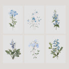Set of 6 vintage blue botanical prints unframed on a light background