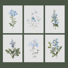 Set of 6 vintage blue botanical prints unframed on a light green background