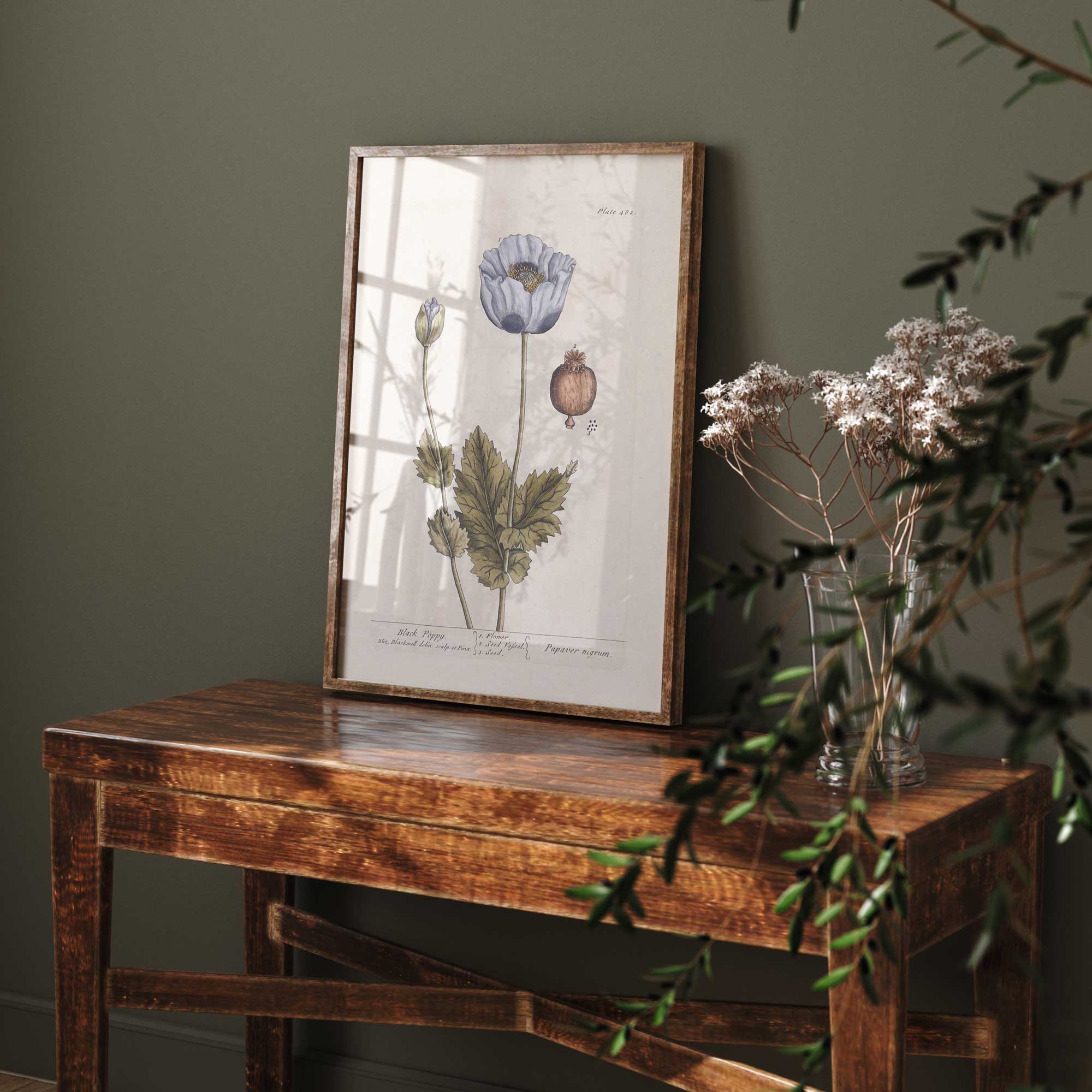 Framed black poppy vintage botanical print on a wooden table with greenery in the background