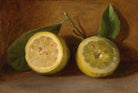 Still life painting of two lemons with green leaves on a brown background