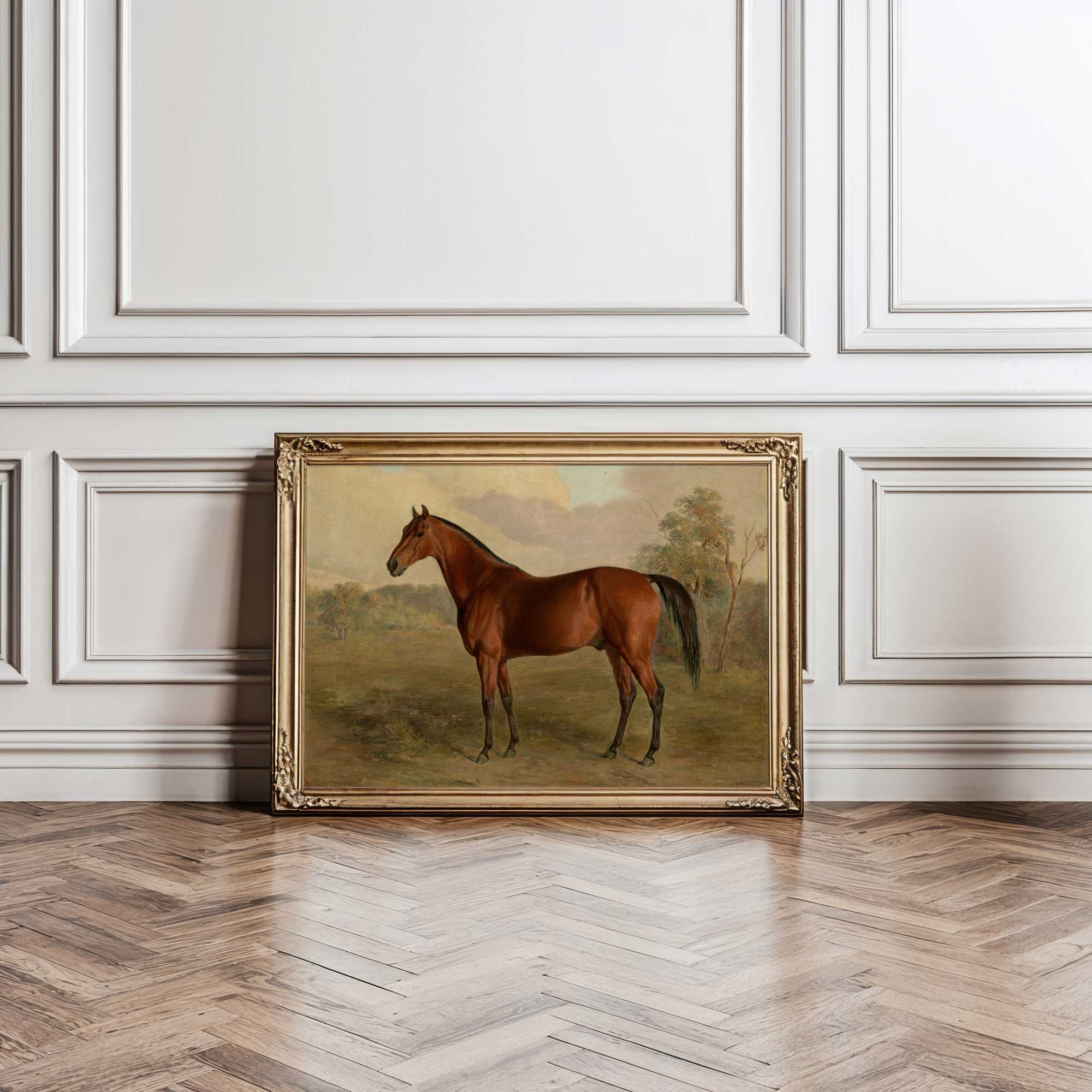 Vintage Horse Portrait Print in a gold frame 