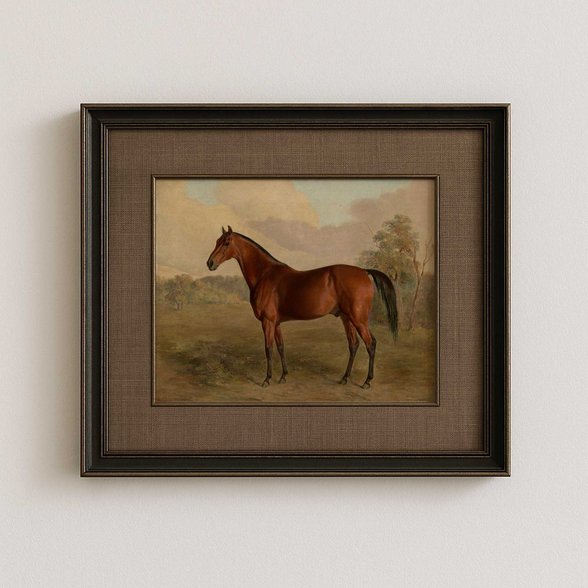 Framed Vintage Horse Portrait Print |Rustic Country Wall Art on a white wall