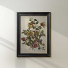 Framed botanical print of flowers on a white wall