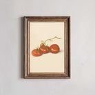 Vintage heirloom tomato botanical illustration print with three ripe tomatoes and curling vines on cream background