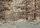 Winter Pine Trees Landscape Print