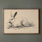 Vintage hare sketch print, antique rabbit natural history illustration wall decor
