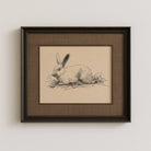Framed vintage rabbit sketch wall art, antique hare pen and ink drawing in traditional frame.