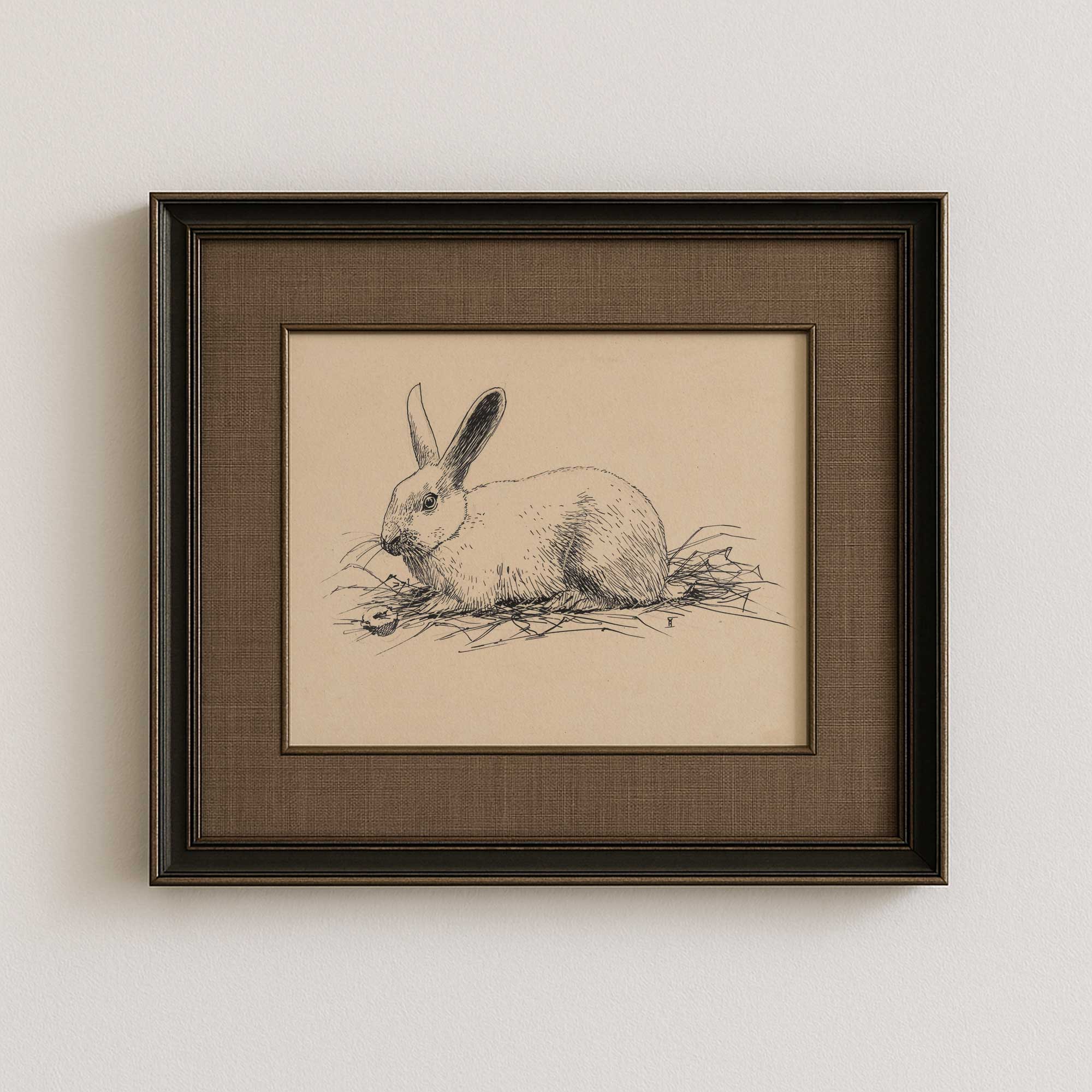 Framed vintage rabbit sketch wall art, antique hare pen and ink drawing in traditional frame.