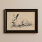 Vintage rabbit sketch print in dark wood frame on wall, antique hare pen and ink illustration