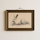 Vintage hare sketch print, antique rabbit natural history illustration wall decor
