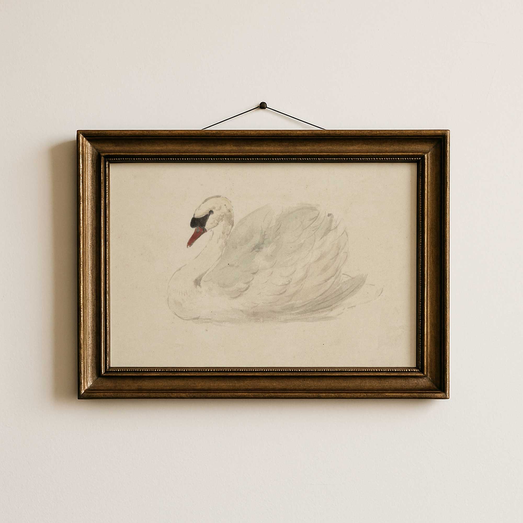 Vintage swan watercolour print unframed, soft antique bird illustration on cream paper