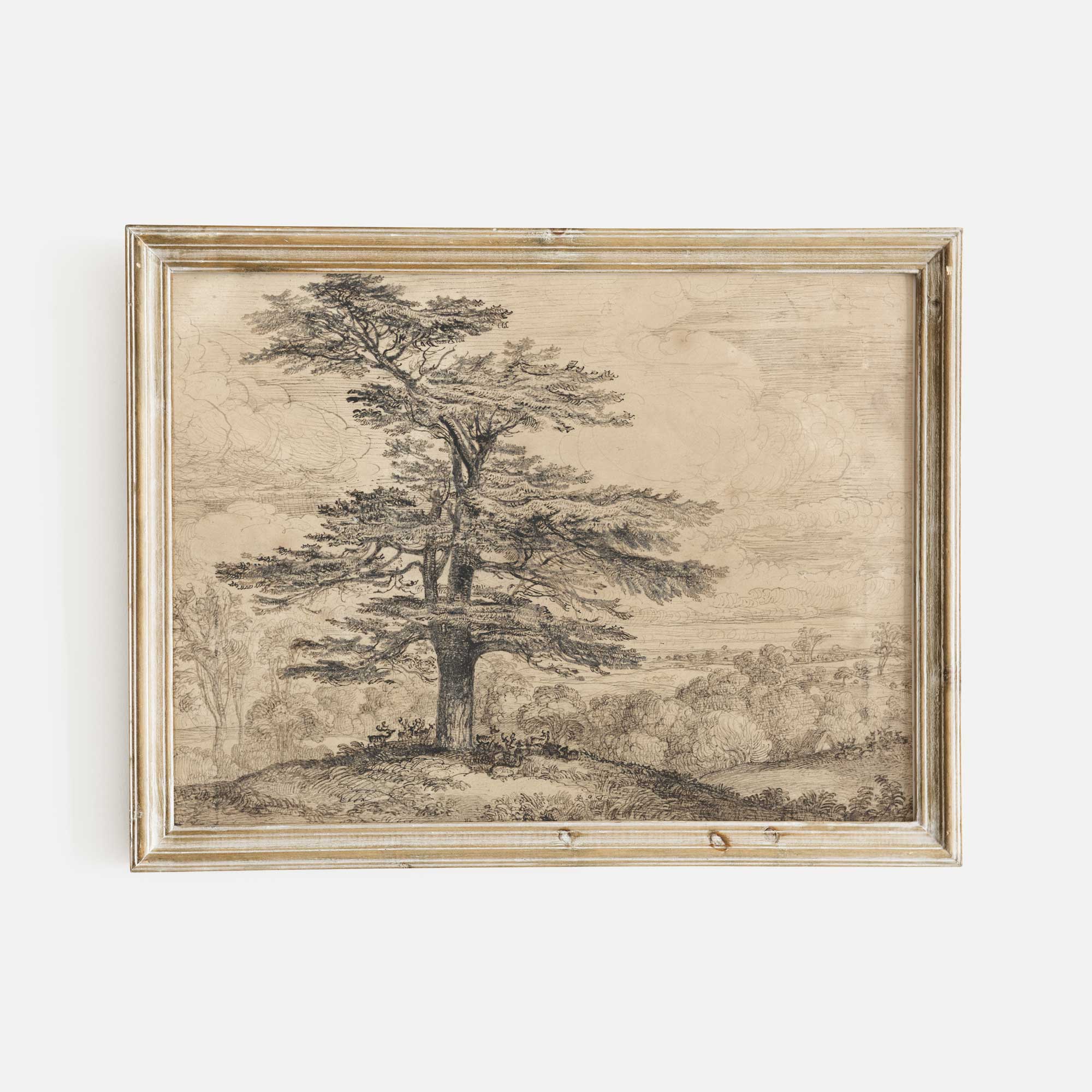 Framed artwork of a tree in a landscape on a white background