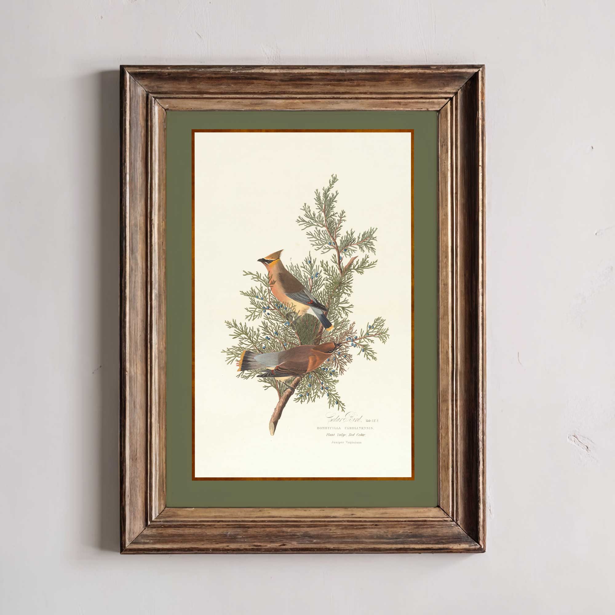 Framed artwork of birds on a branch with a green border