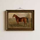 Framed Vintage Horse Portrait Print Rustic Country Wall Art 