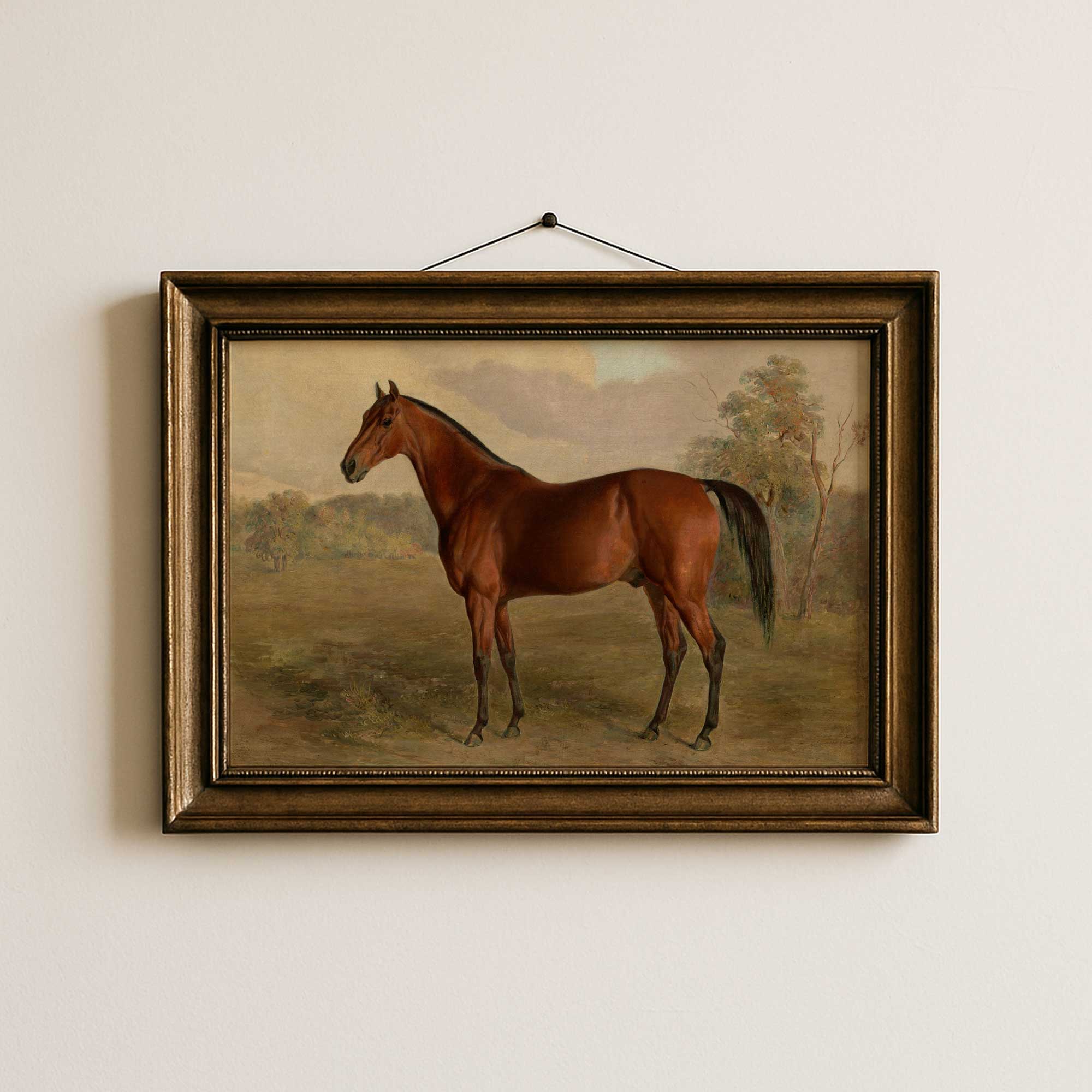 Framed Vintage Horse Portrait Print Rustic Country Wall Art 