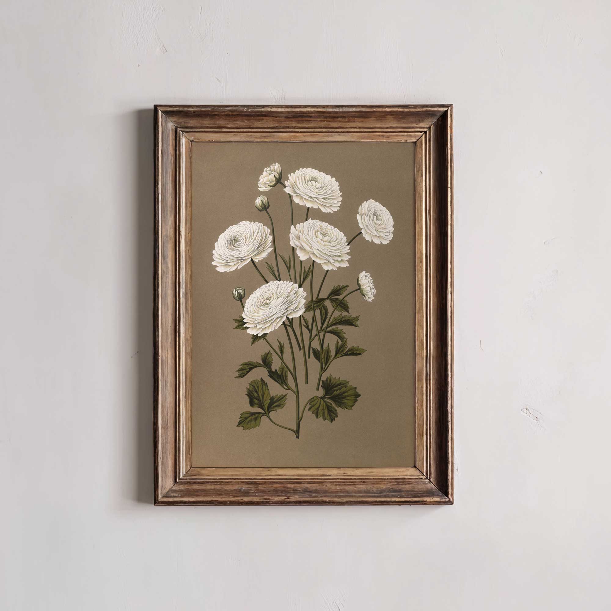 Framed botanical illustration of white flowers on a beige background