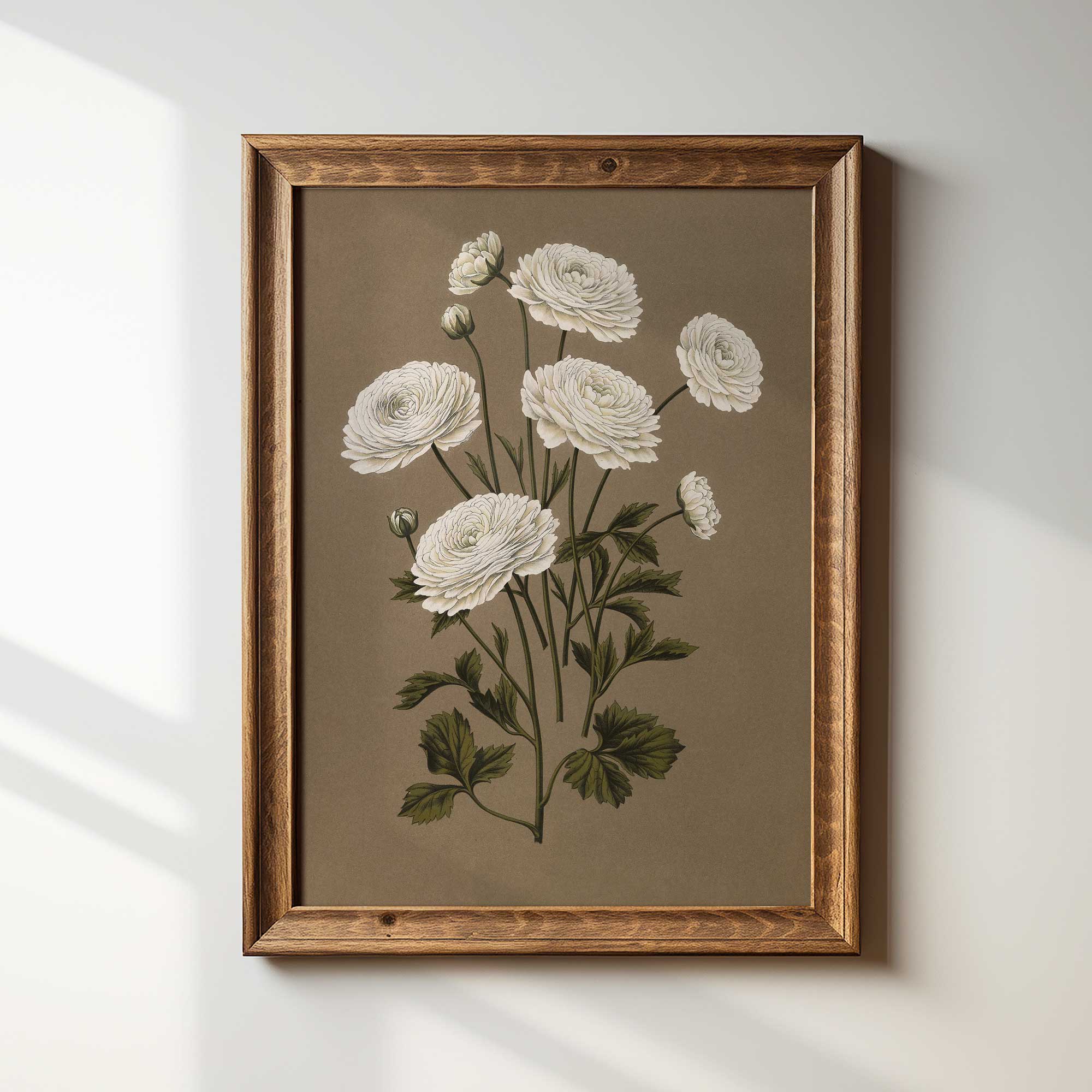 Framed botanical illustration of white flowers on a beige background