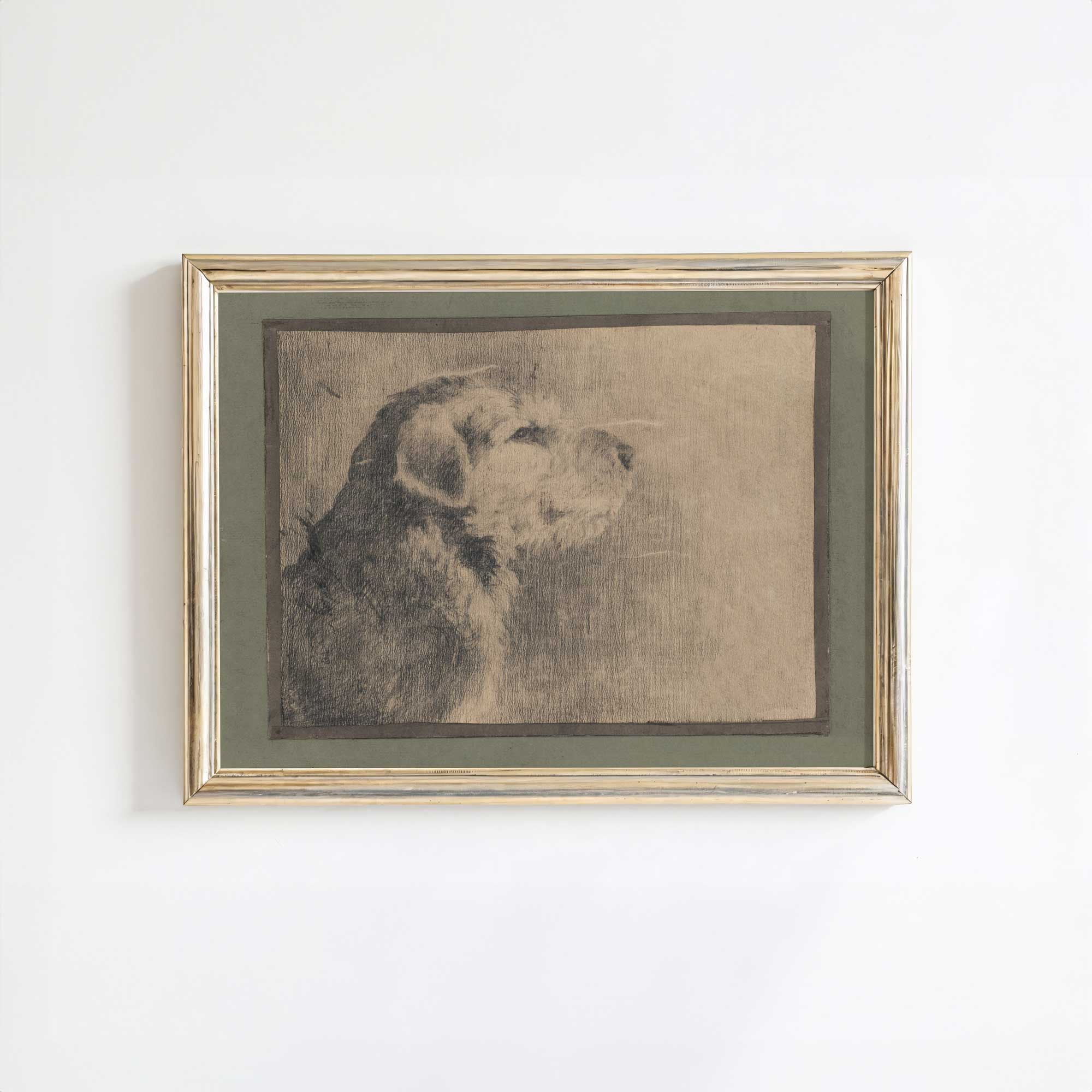 Framed artwork of a dog  Profile Sketch on a white wall