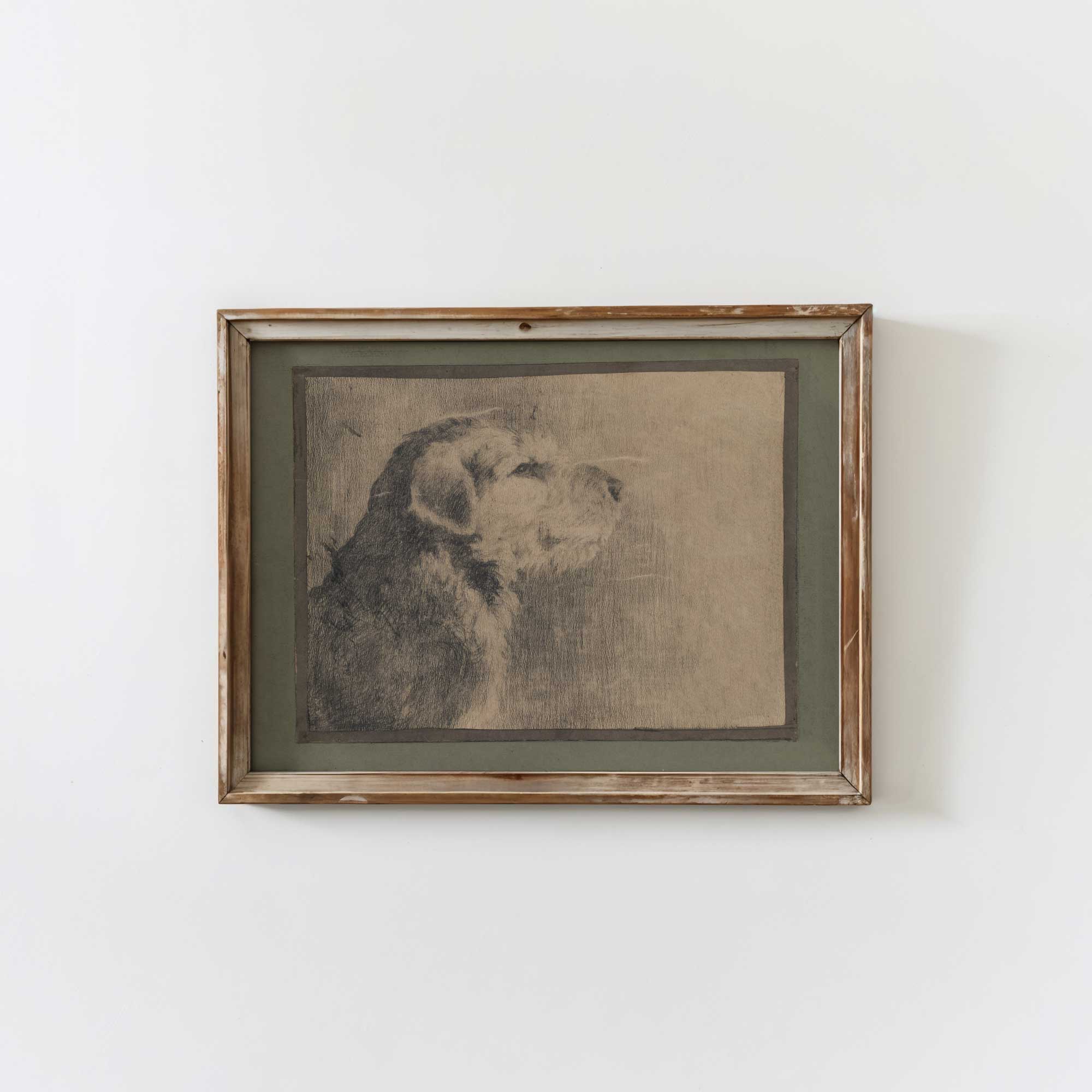 Framed artwork of a dog  Profile Sketch on a white wall