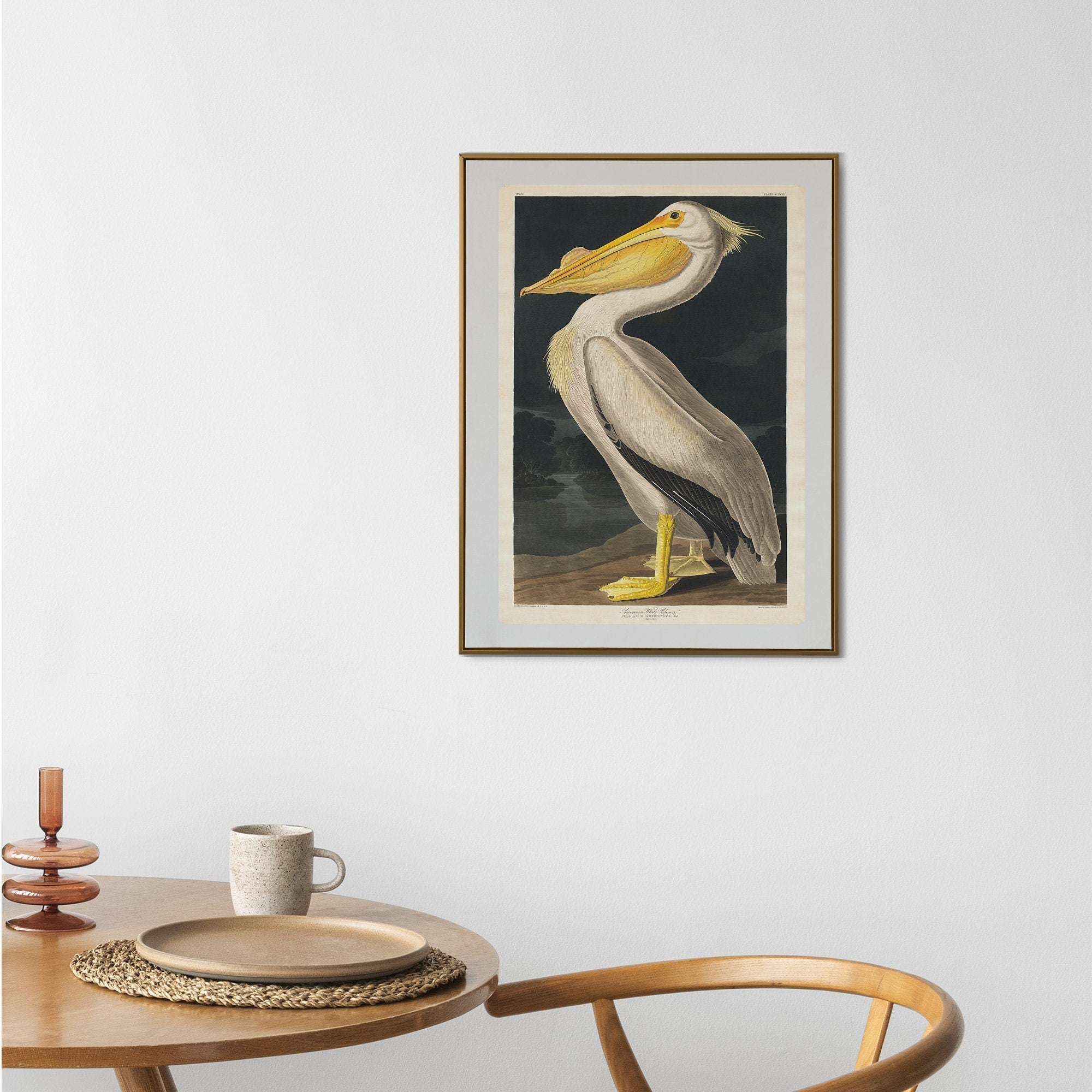 American White Pelican Print from Birds of America by John James Audubon - Hartsholme Prints