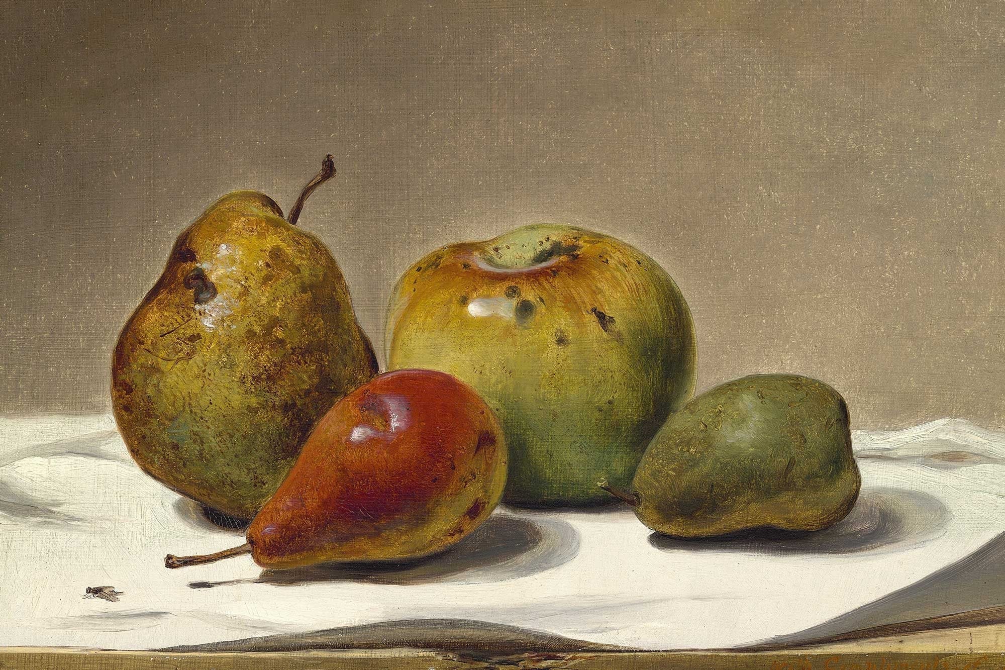Apple and Pear Vintage Print - Hartsholme Prints