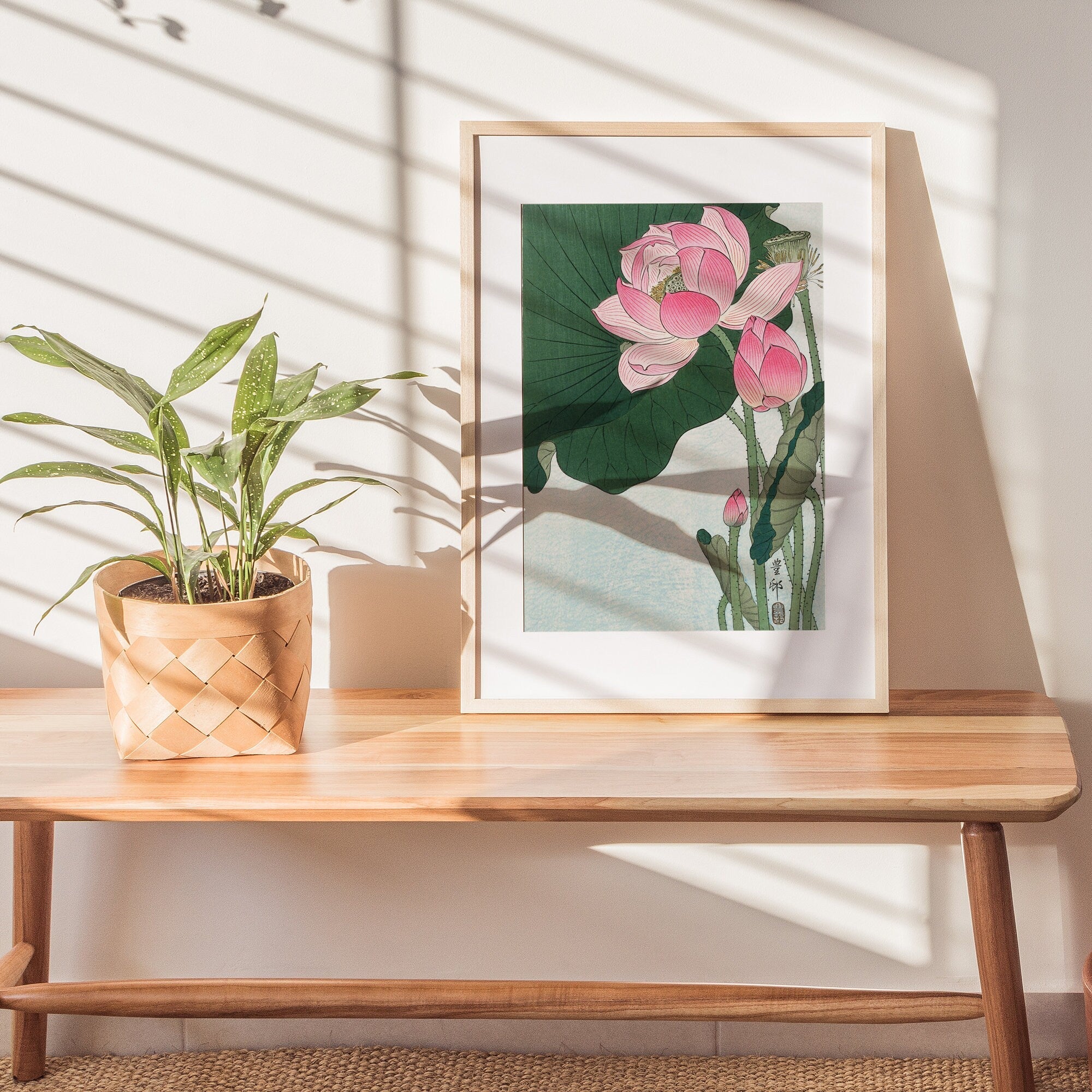 Blooming Lotus - Hartsholme Prints