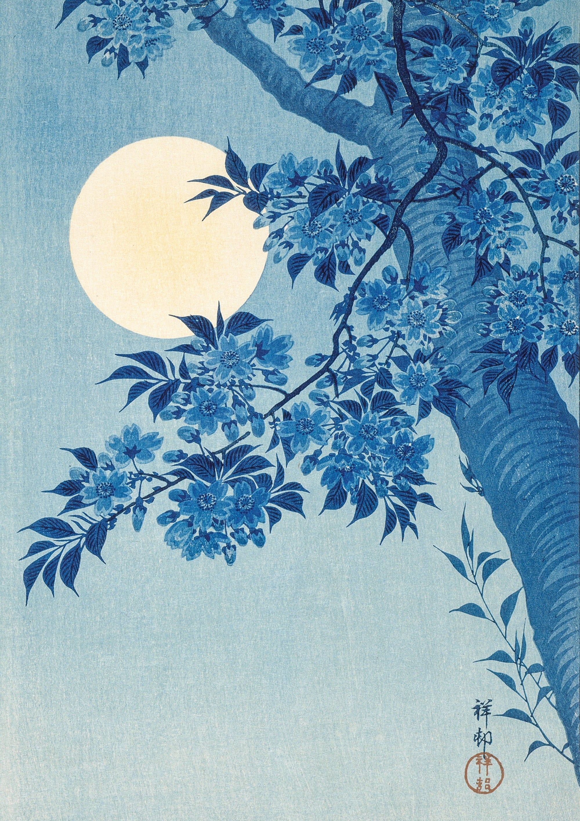 Blossoming Cherry on a Moonlit Night - Hartsholme Prints