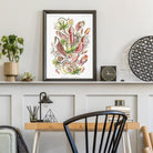 Botanical from Kunstformen der Natur - Hartsholme Prints