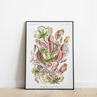 Botanical from Kunstformen der Natur - Hartsholme Prints