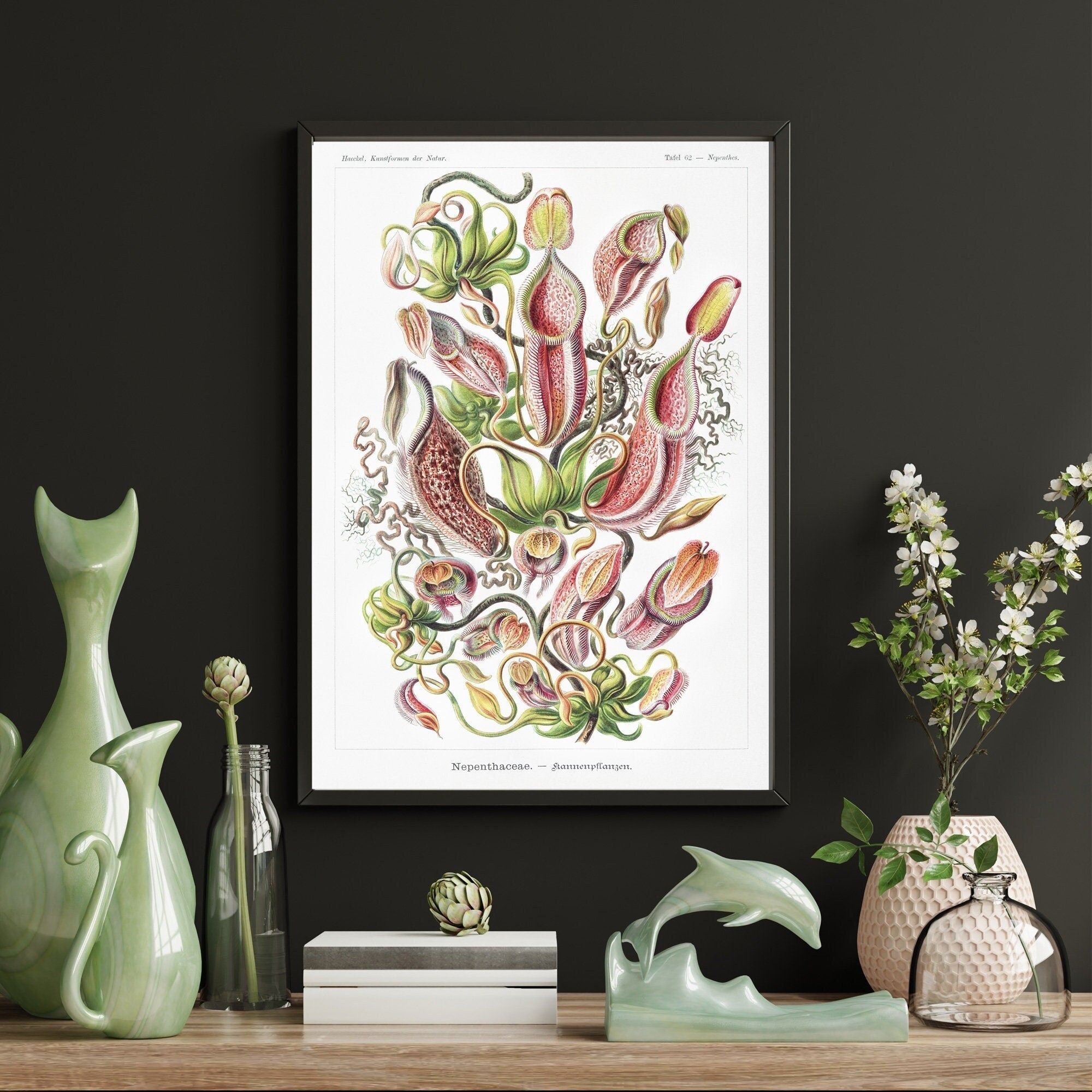 Botanical from Kunstformen der Natur - Hartsholme Prints