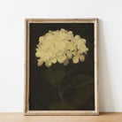 Dark Academia Still Life Print: White Hydrangea - Hartsholme Prints