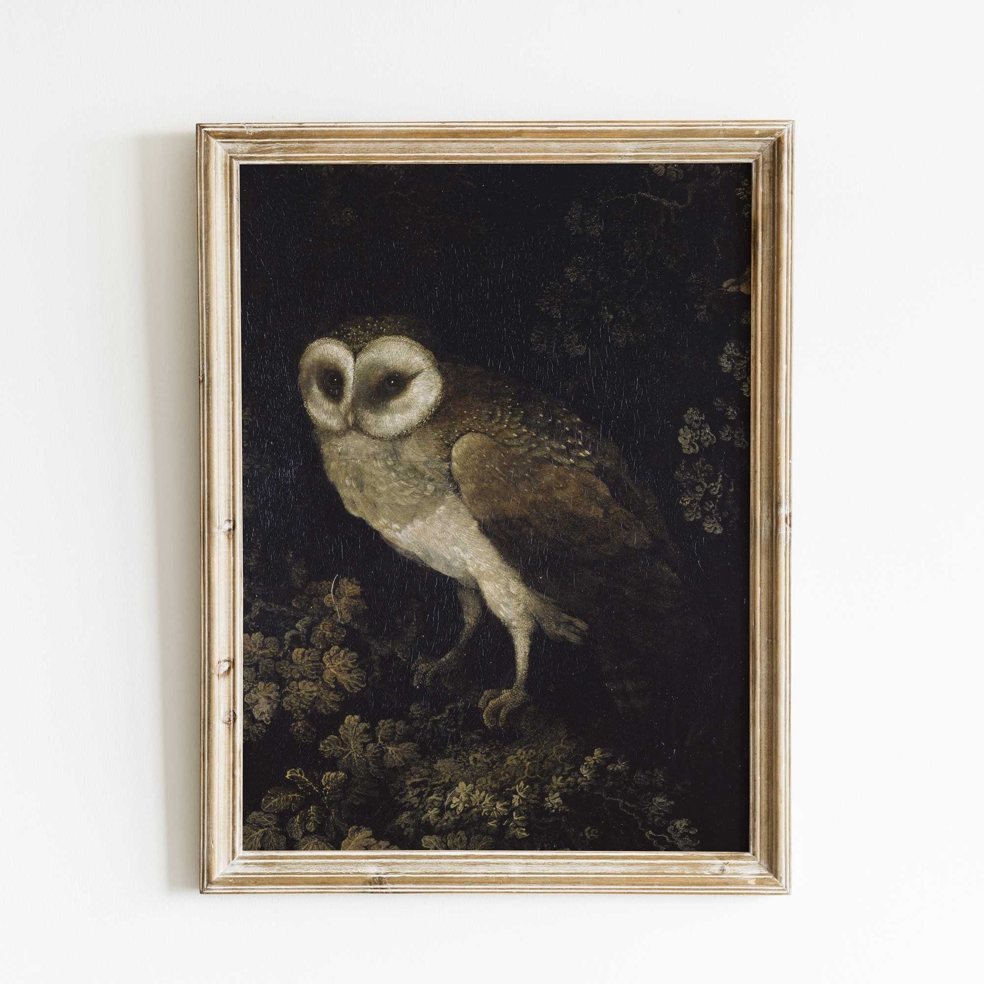 Dark Moody Owl in the Forest - Hartsholme Prints
