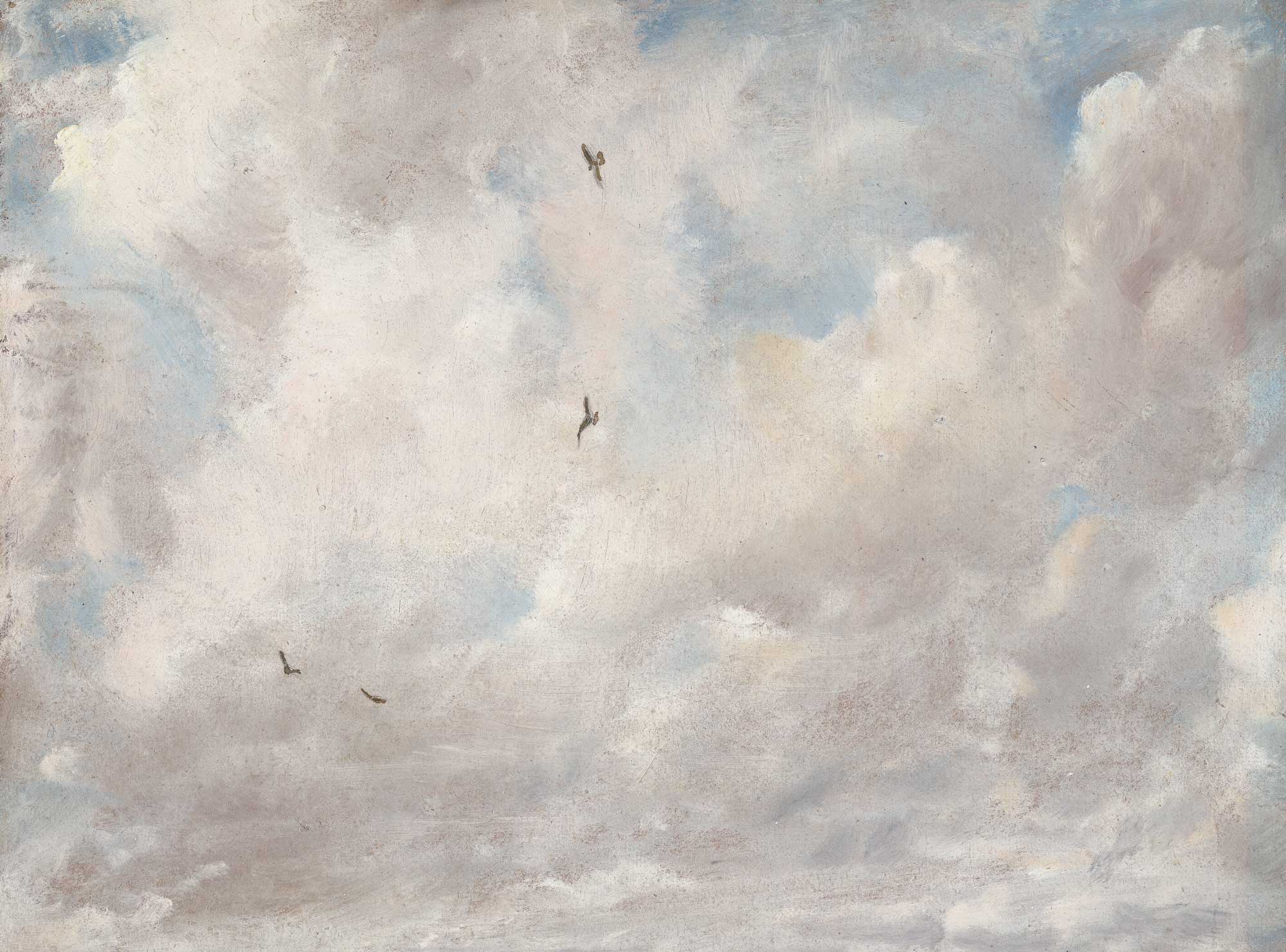 Fluffy Clouds and Distant Birds Art Print - Hartsholme Prints