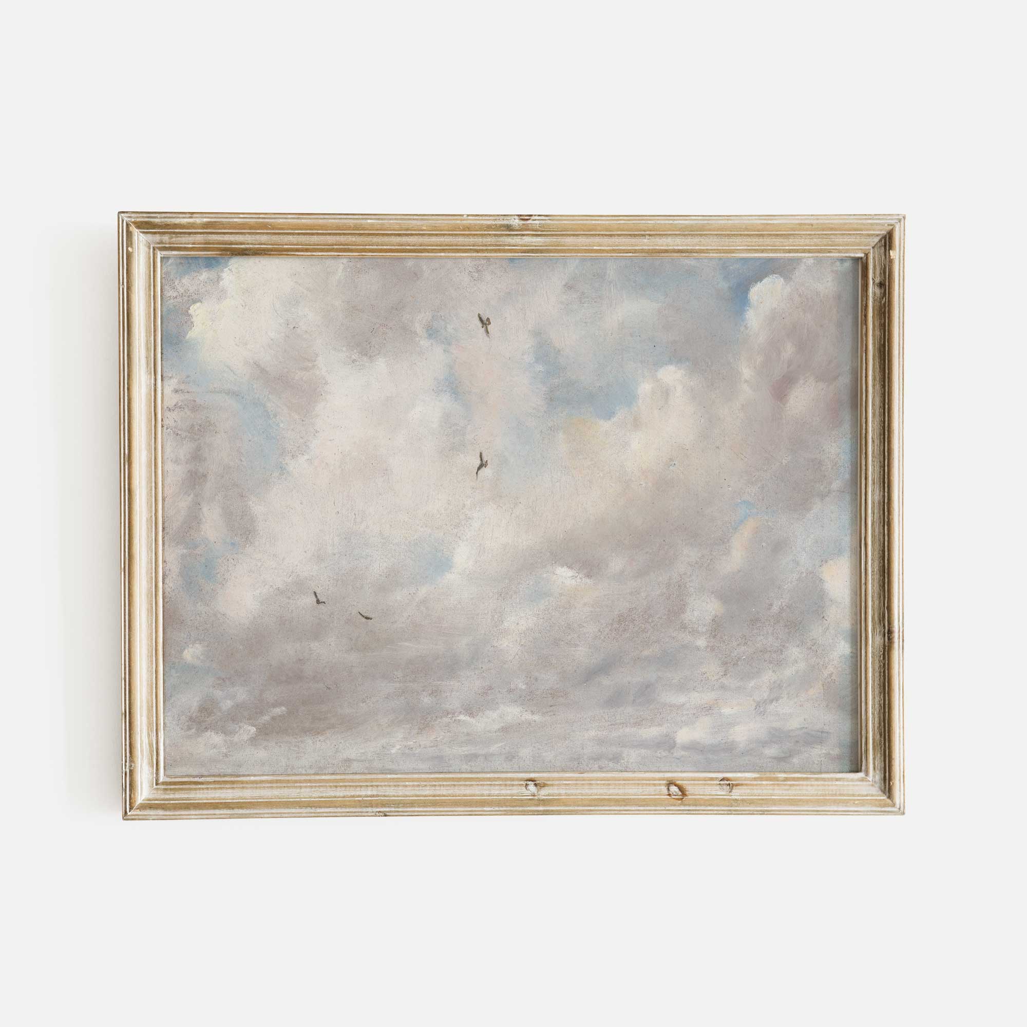 Fluffy Clouds and Distant Birds Art Print